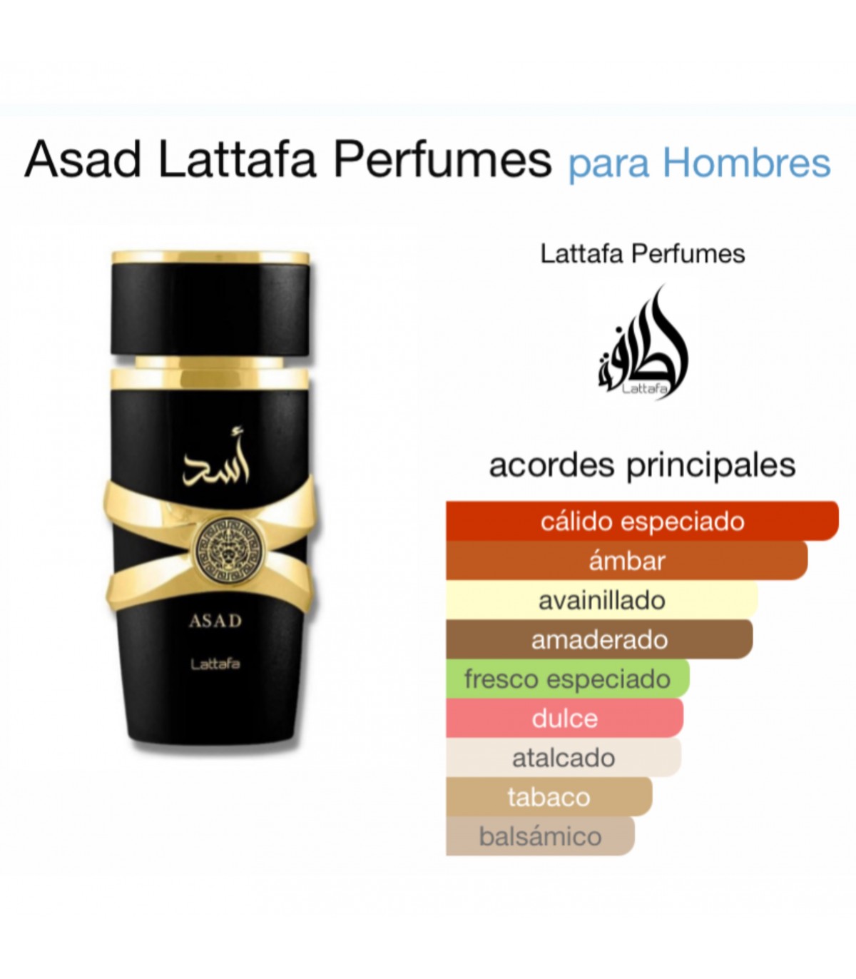 KIT ASAD Y ASAD ZANZIBAR