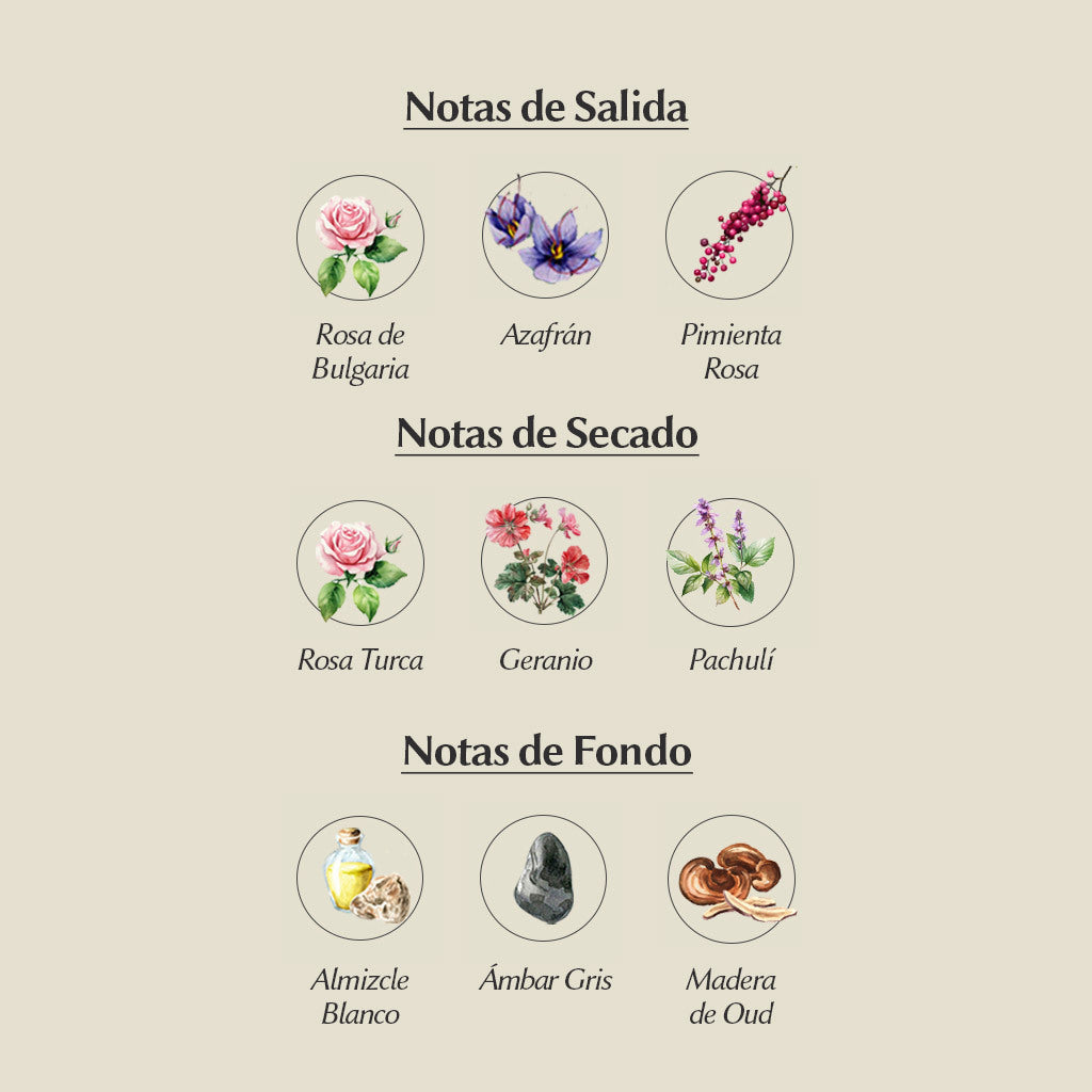 BHARARA ROSE EDP 100ML FEMENINO