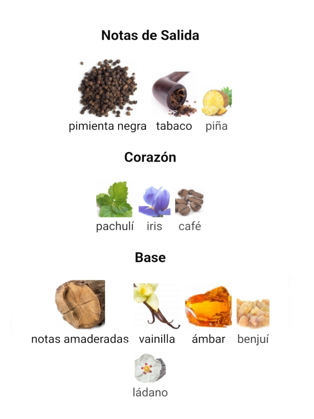 MAISON ALHAMBRA SALVO ELIXIR EDP 60ML